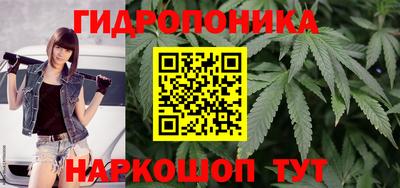 стаф Донецк