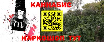 стаф Донецк