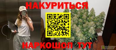 скорость Дубна