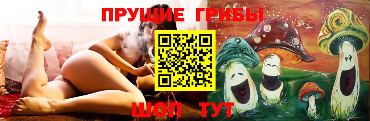 Кондопога  Псилоцибиновые грибы GOLDEN TEACHER  Вход с VPN 